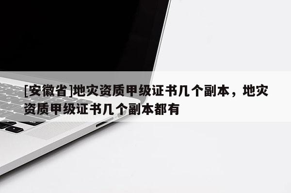 [安徽省]地災(zāi)資質(zhì)甲級(jí)證書(shū)幾個(gè)副本，地災(zāi)資質(zhì)甲級(jí)證書(shū)幾個(gè)副本都有