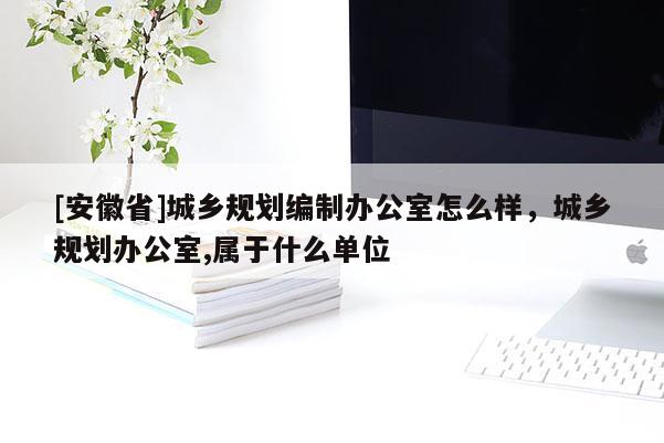 [安徽省]城鄉(xiāng)規(guī)劃編制辦公室怎么樣，城鄉(xiāng)規(guī)劃辦公室,屬于什么單位