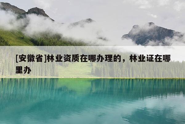 [安徽省]林業(yè)資質(zhì)在哪辦理的，林業(yè)證在哪里辦