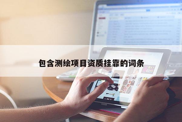 包含測繪項目資質(zhì)掛靠的詞條
