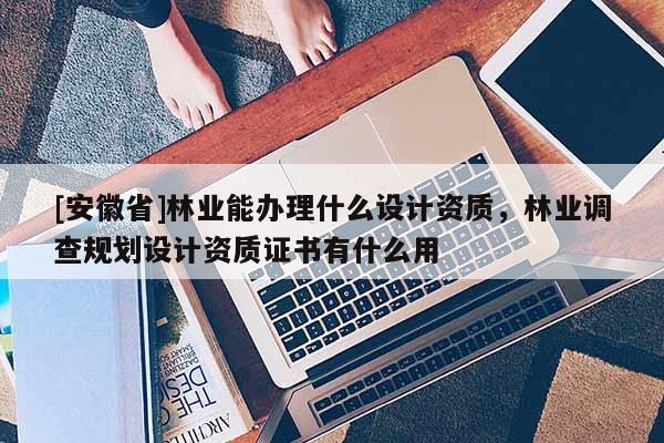 [安徽省]林業(yè)能辦理什么設(shè)計(jì)資質(zhì)，林業(yè)調(diào)查規(guī)劃設(shè)計(jì)資質(zhì)證書有什么用
