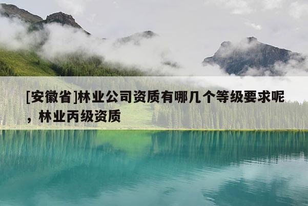 [安徽省]林業(yè)公司資質有哪幾個等級要求呢，林業(yè)丙級資質