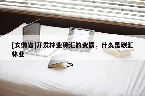[安徽省]開(kāi)發(fā)林業(yè)碳匯的資質(zhì)，什么是碳匯林業(yè)