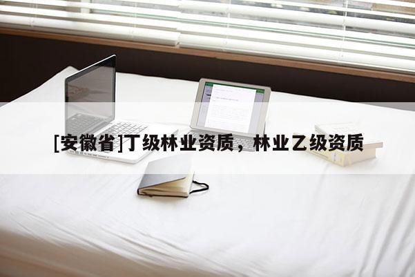 [安徽省]丁級(jí)林業(yè)資質(zhì)，林業(yè)乙級(jí)資質(zhì)