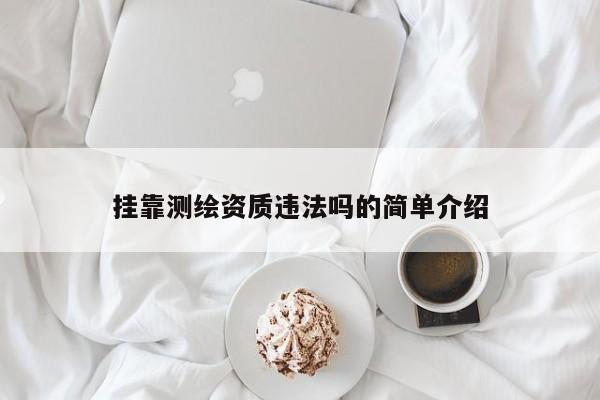 掛靠測繪資質(zhì)違法嗎的簡單介紹