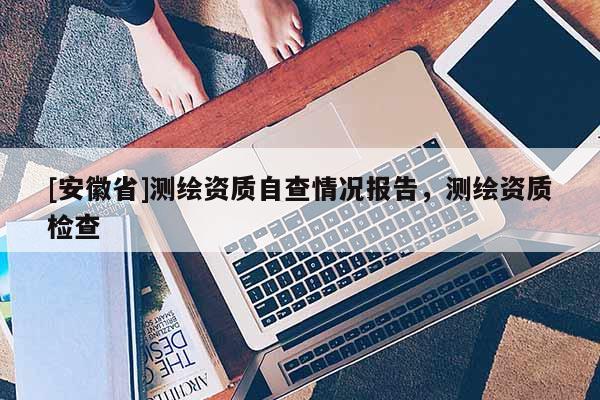 [安徽省]測繪資質(zhì)自查情況報告，測繪資質(zhì)檢查