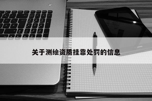 關(guān)于測(cè)繪資質(zhì)掛靠處罰的信息