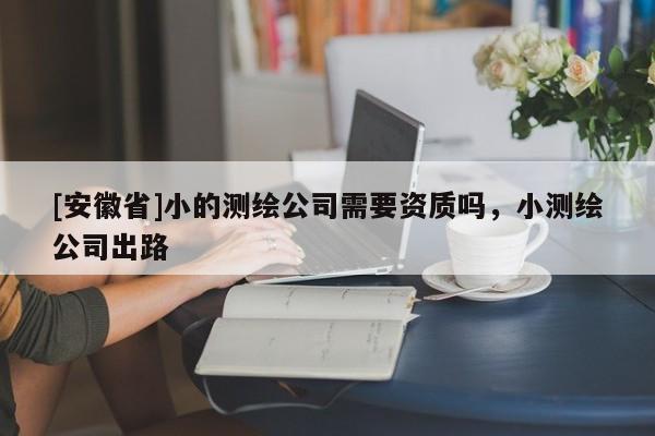 [安徽省]小的測(cè)繪公司需要資質(zhì)嗎，小測(cè)繪公司出路