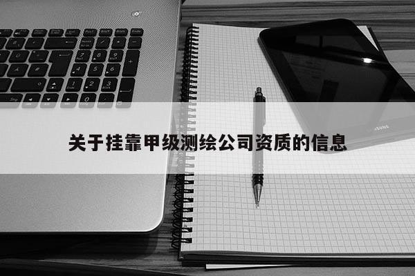 關(guān)于掛靠甲級(jí)測繪公司資質(zhì)的信息